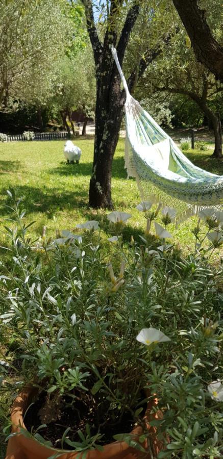 Bed and Breakfast Pierres Blanches Cotignac Exterior foto