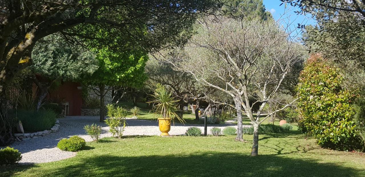 Bed and Breakfast Pierres Blanches Cotignac Exterior foto